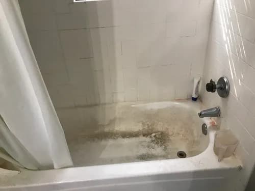 CasaBella Cleaning - Photo 2