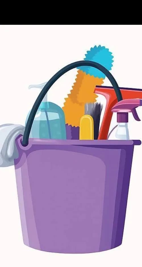 Celia's House Cleaning Service Mountain View