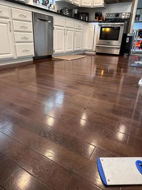 Champagne Clean - Photo 1