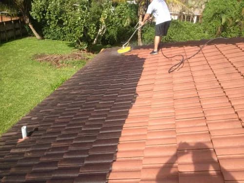 Cheeky Monkey Cleaning Services - Photo 4