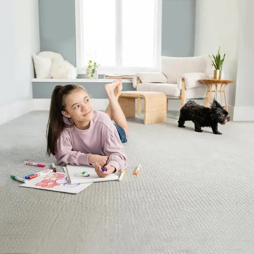 Chem-Dry By C & G - Photo 1