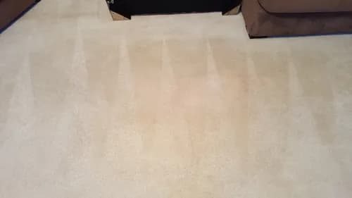 Chem-Dry of Colorado Springs - Photo 2