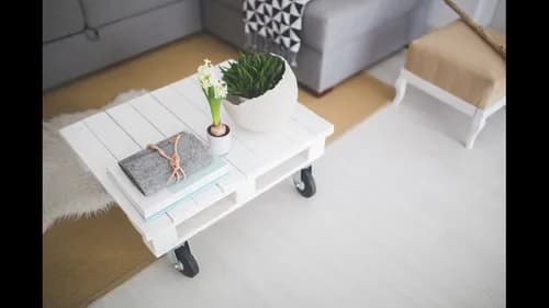 Chesters Cleaning the House