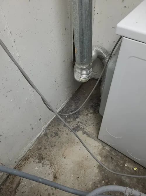 Cincinnati Maintenance Inc