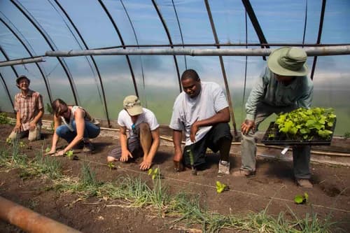 Cincy Cleaning Co-op - Photo 4