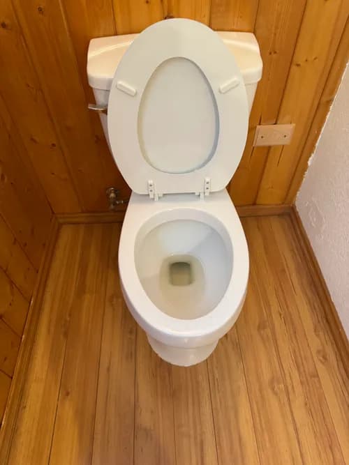 Citrus Fresh Cleaning