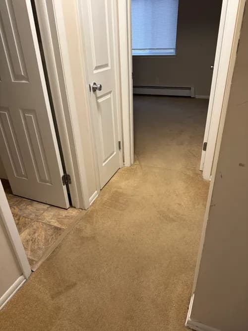 City of Good Maids - Photo 4