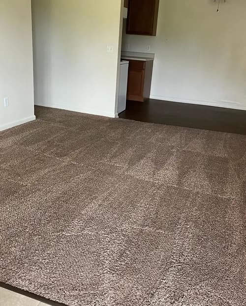 Clean and Pristine Cleaning Service - Photo 2