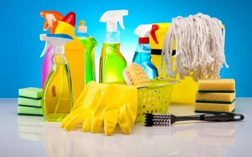 Clean and Tidy Today, LLC