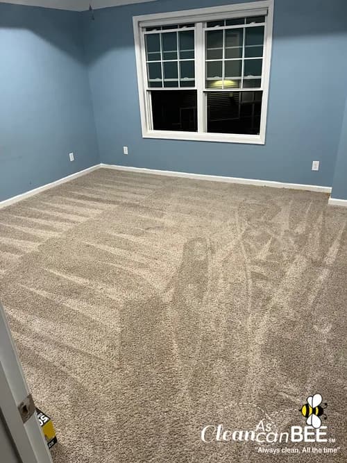 Clean as can Bee® - Virginia Beach