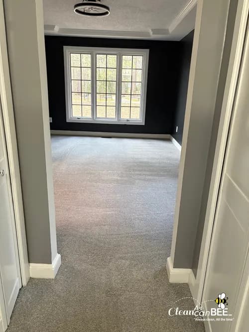 Clean as can Bee® - Virginia Beach - Photo 4