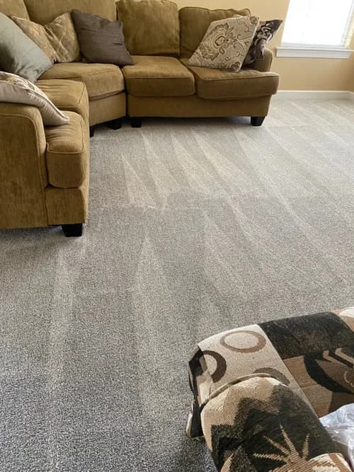 Clean Fitz - Photo 3