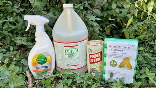 Clean Freaks 405 - Photo 1