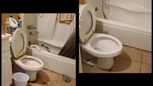 Clean It Krew Professional Cleaning Services