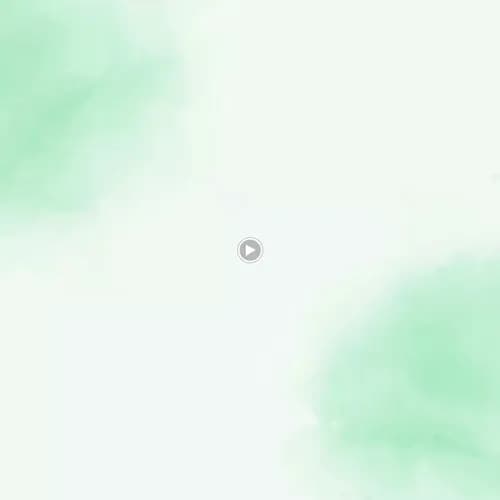 Clean Means Clean of Raleigh - Photo 2