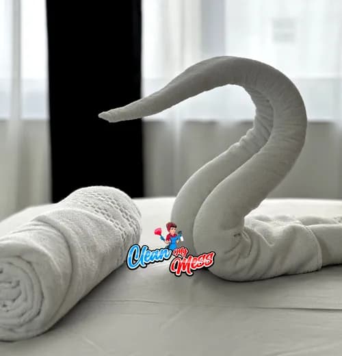 Clean My Mess Cleaning Services Miami Beach