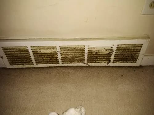 Clean Rite Cleaning Inc. - Photo 3