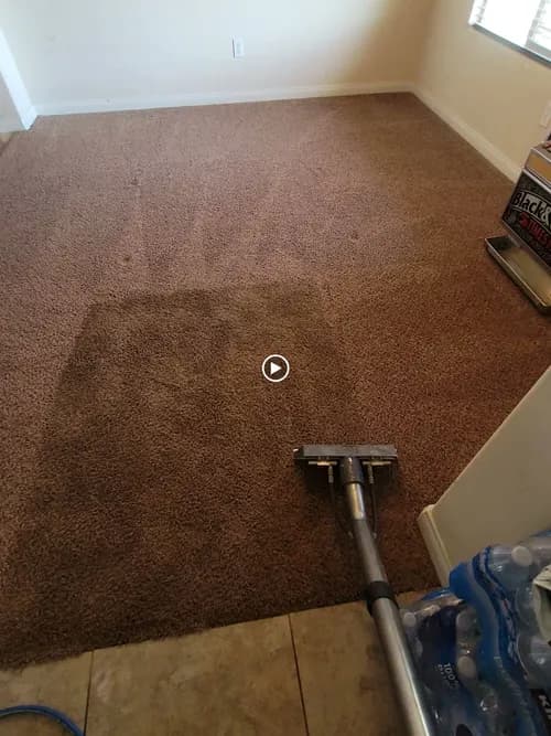 Clean Scene Carpet Cleaning - Photo 3