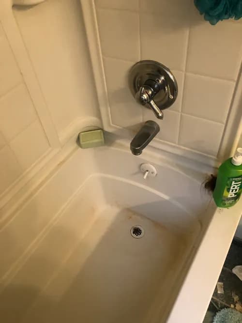 Cleaning CLE - Photo 2