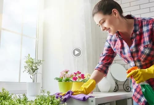 Cleaning Service Berkeley - Photo 2