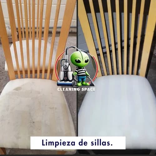 Cleaning Space Pro Service - Photo 2