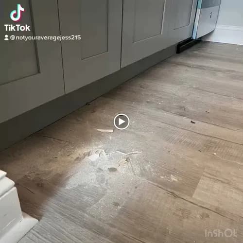 Cleaning With A Meaning Philly - Photo 3