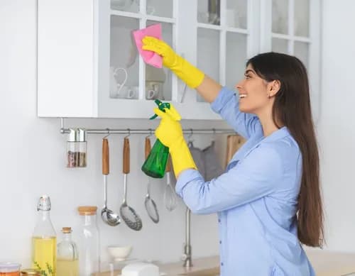 Cleenora Maids and Cleaning Services Pasadena