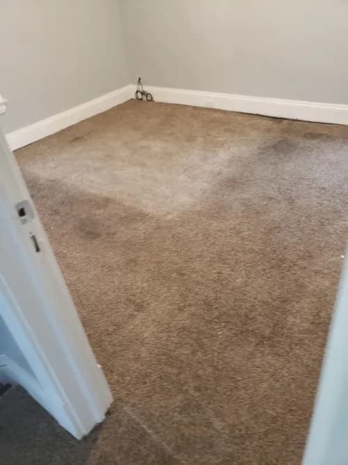 Cleveland Steamer Cleaning Services, LLC - Photo 3