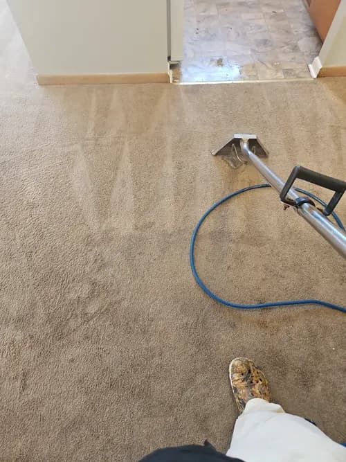 Cleveland Steamer Cleaning Services, LLC - Photo 4