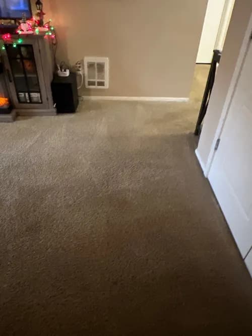 Cloud 9 Professional Cleaning Services - Photo 3