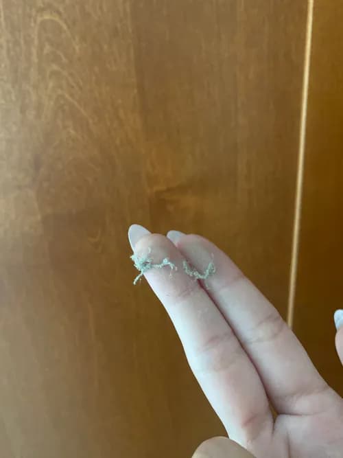 Coast 2 Coast Cleaning - Photo 4