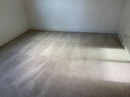 Coastals Cleaning Services - Photo 2