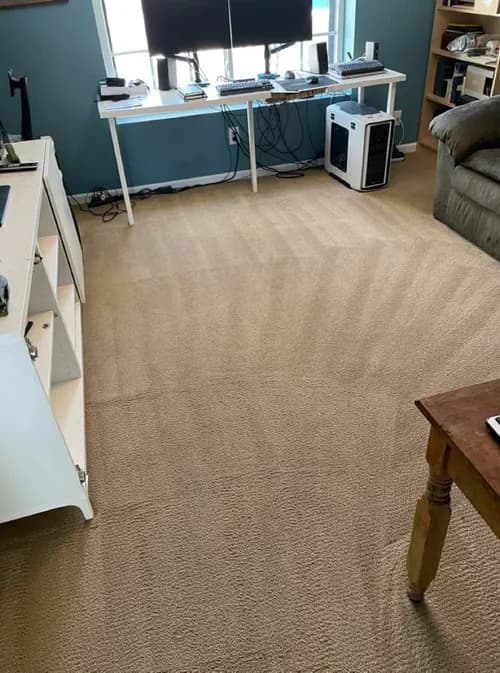 Coconut Cleaning - Photo 2