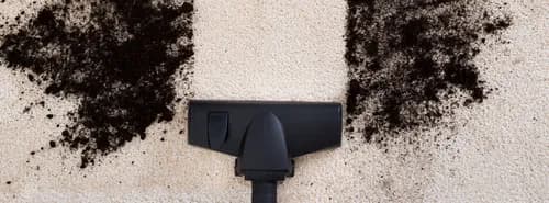 Coconut Cleaning Co. - Photo 4