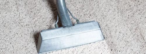 Coconut Cleaning Co. - Photo 3