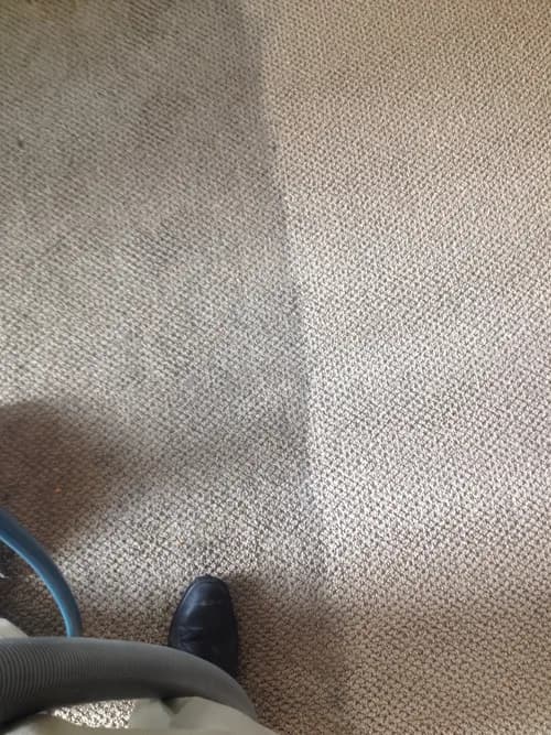 COIT Cleaning and Restoration - Photo 1