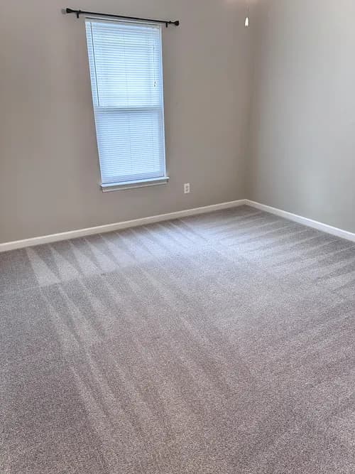 Combat Cleaning - Carpet, Biohazard, Steam, Home & Hoarding Cleaning - Photo 1