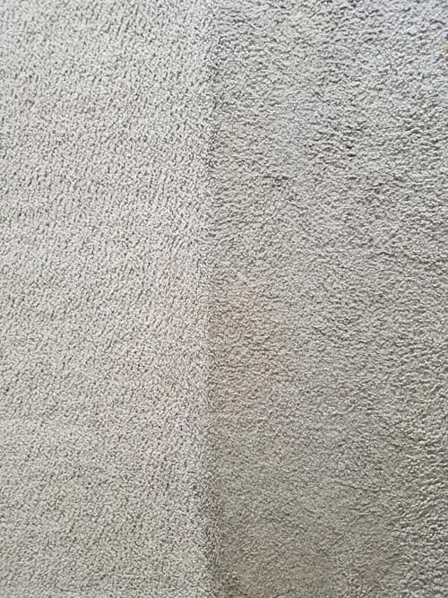 Commercially Clean - Photo 2