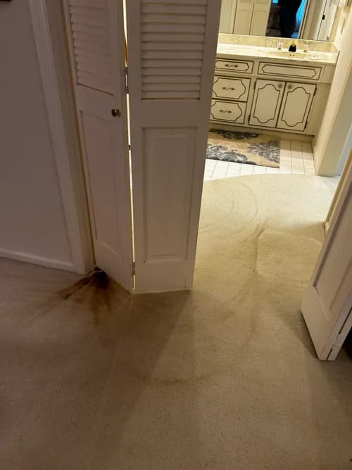 Completely Clean - Photo 3