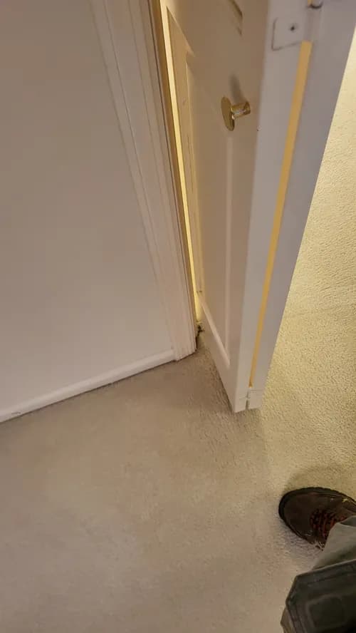 Completely Clean - Photo 4