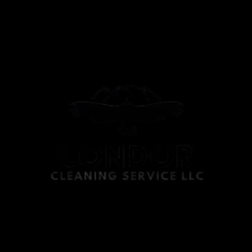 CONDOR CLEANING SERVICE LLC - Photo 1