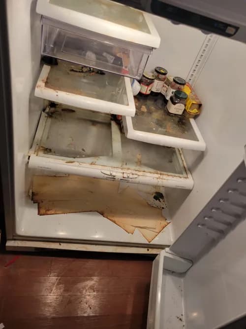 ConscientiousPro Cleaning CTP LLC - Photo 1