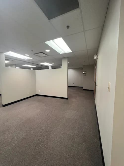 Cosmic Cleaning & Cleansing