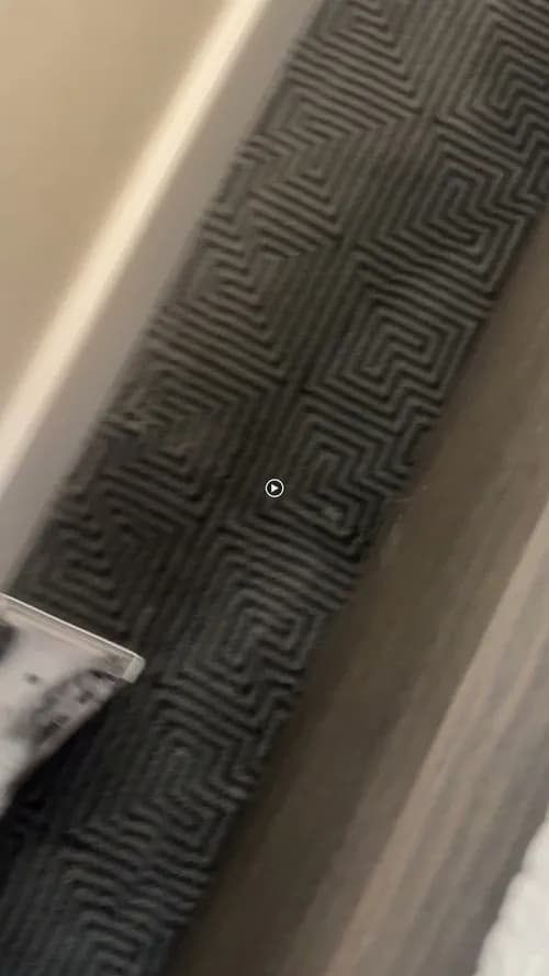 Couch Cleaning Miami - Photo 1