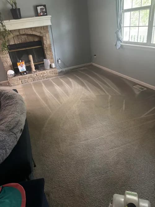 Customized House Cleaning - Photo 2