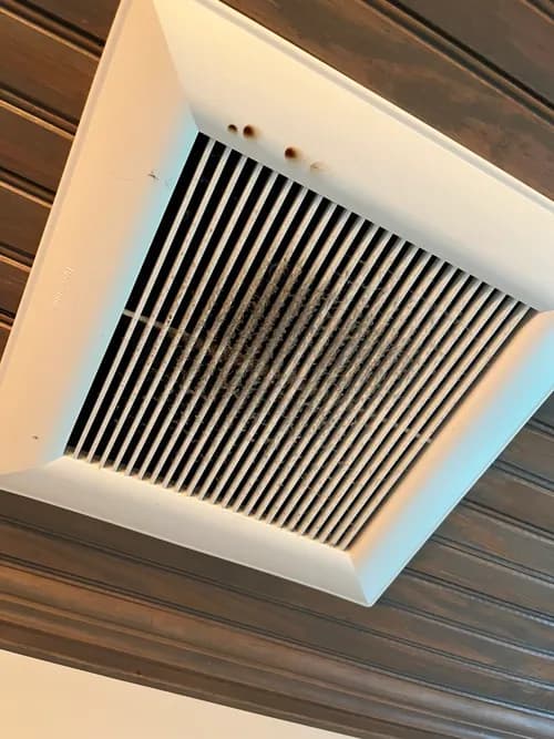 DC House Cleaners - Photo 2