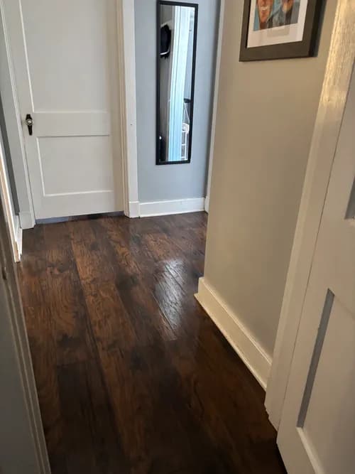 Deep Blue Clean - Photo 3