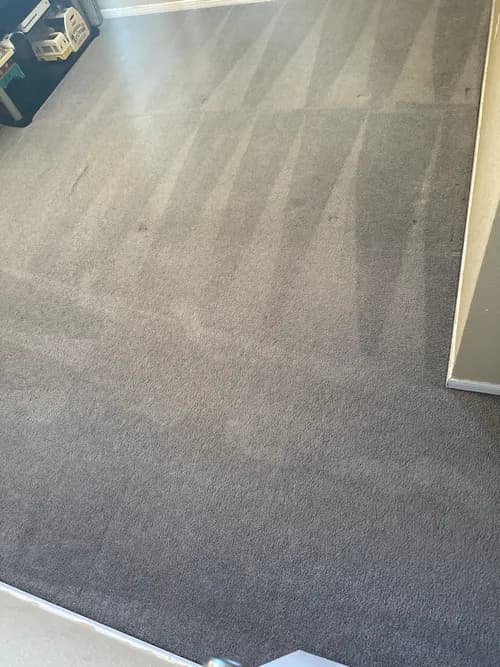 Deep Clean Carpet Cleaners - Photo 4