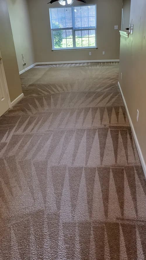 Deep Clean Carpet & Tile - Photo 4