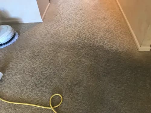 Deep Clean Carpet & Tile - Photo 3